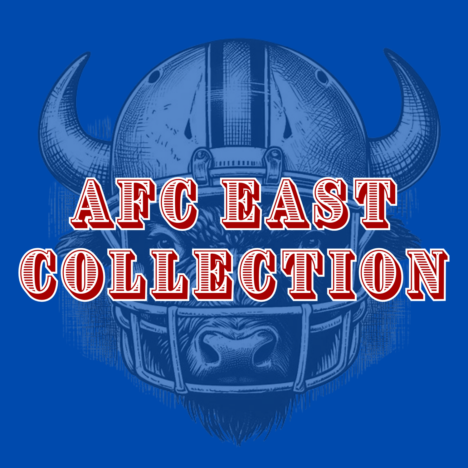 AFC EAST Collection