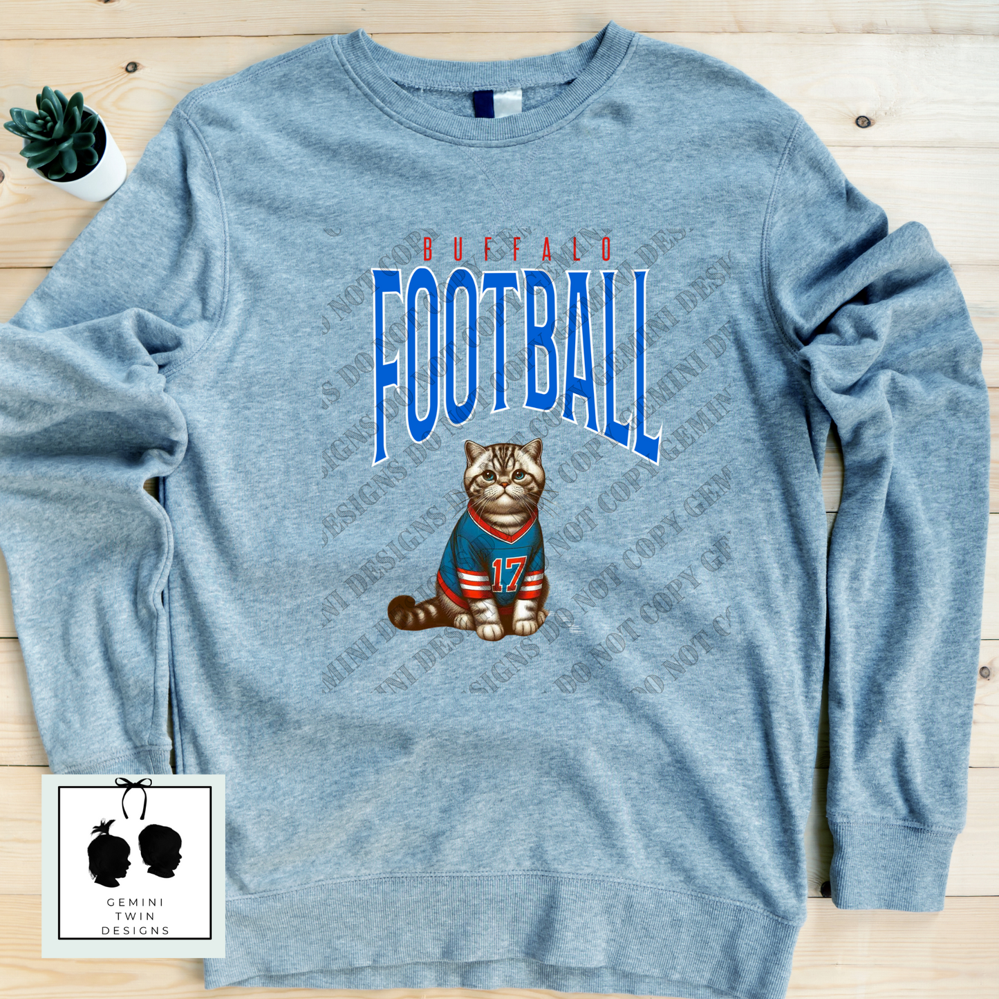 Football Felines