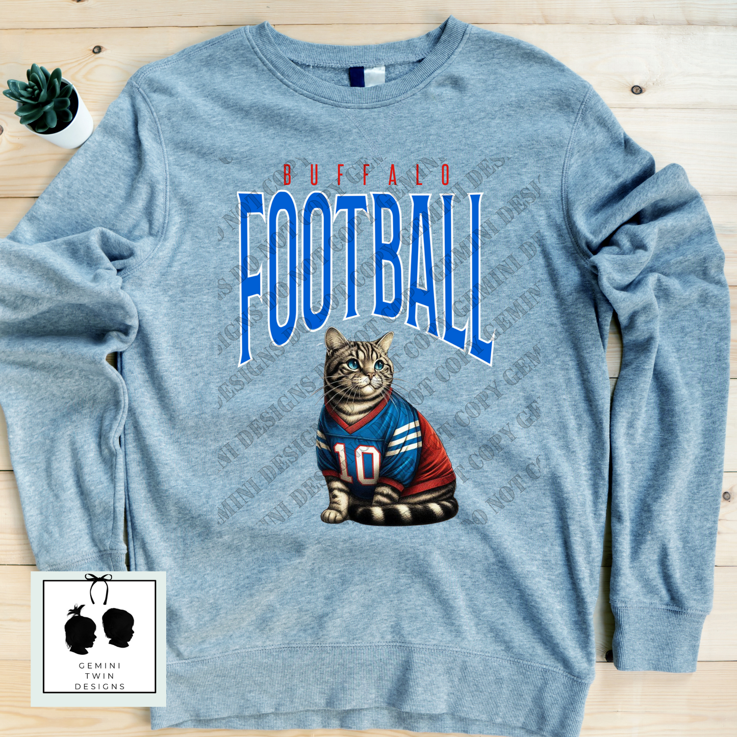 Football Felines